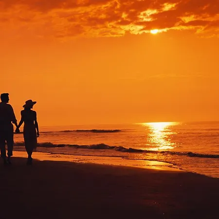 Absolute Beachfront Apartamento