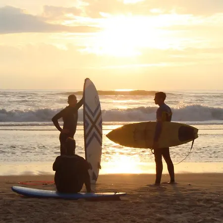 Absolute Beachfront *